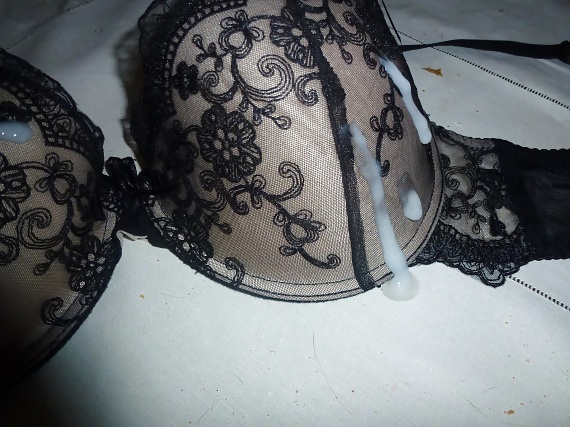 Cum on my Mother in Law's bra 2 #19792078