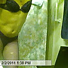 IM THE ASS #7905400