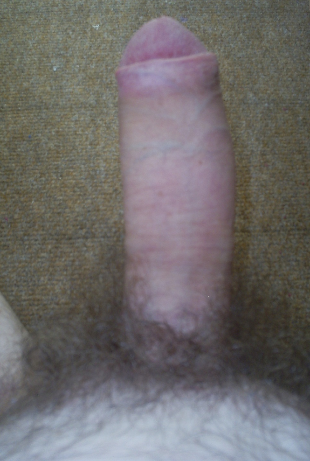My Big Hairy Dick 3 #3692450