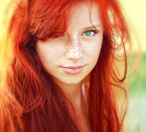 Redheads #11054216