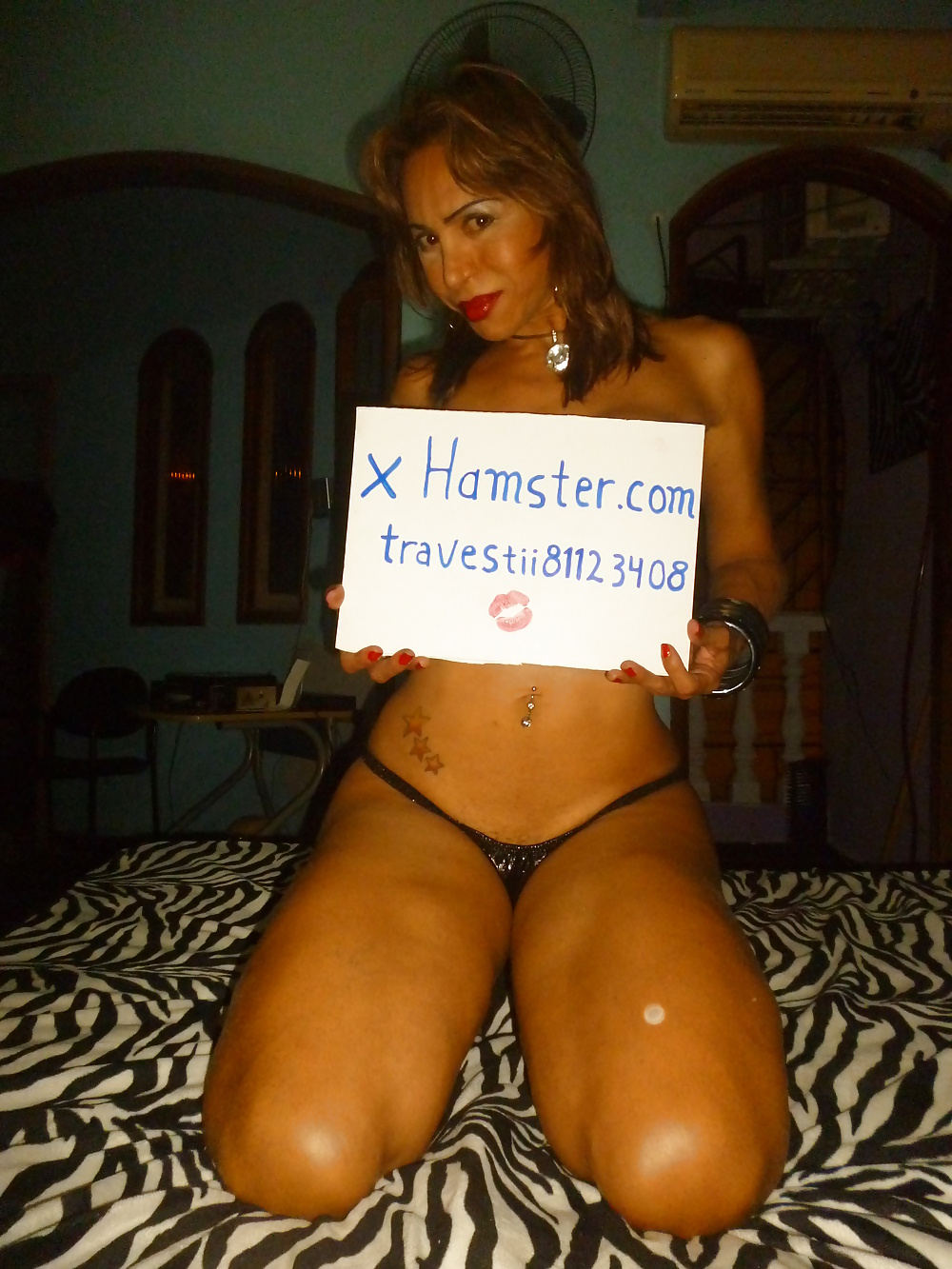 X hamster
 #16752557