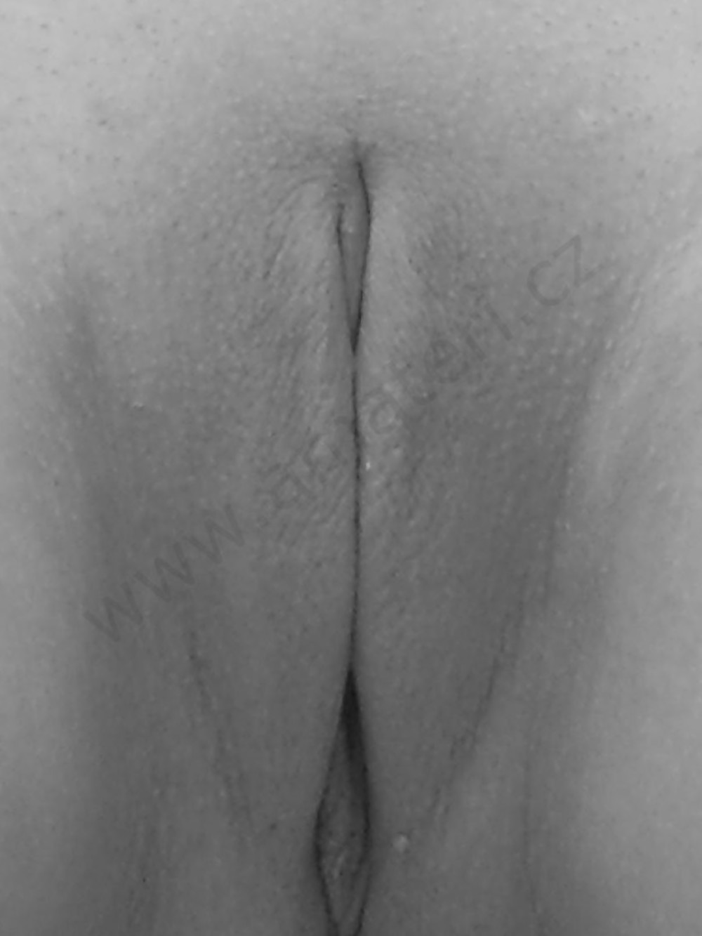 Black and white pussy closeups #4875084