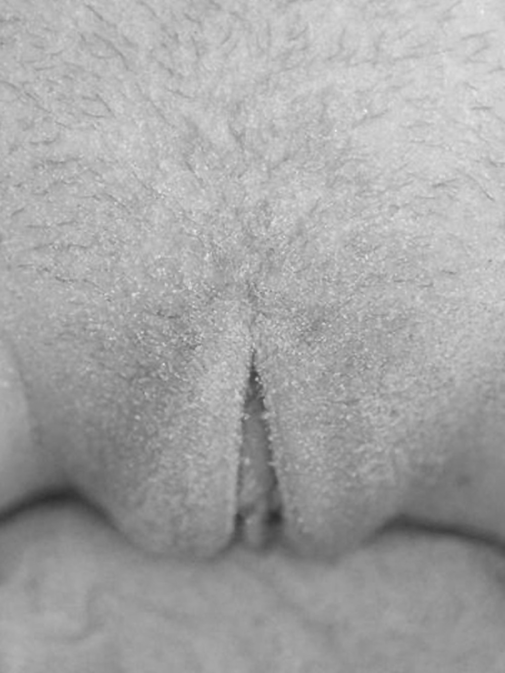 Black and white pussy closeups #4875132