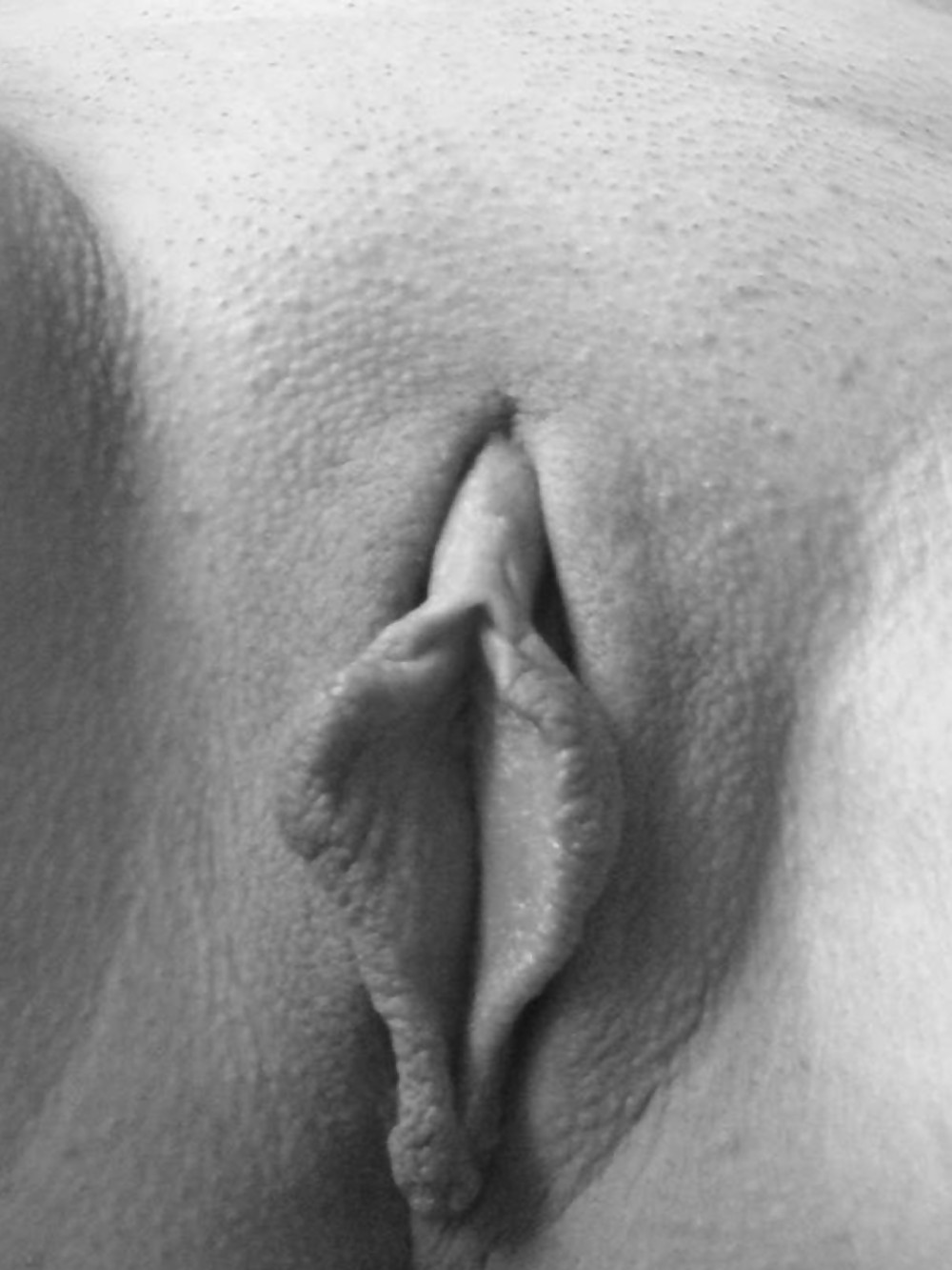 Black and white pussy closeups #4875195