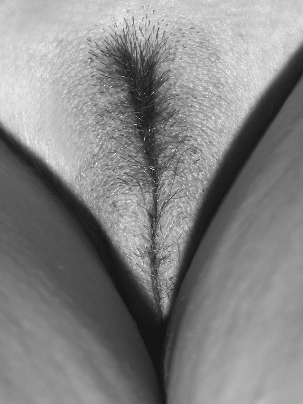 Black and white pussy closeups #4875206