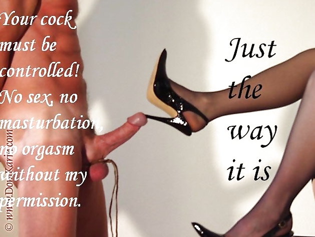 Dominant females #8903532