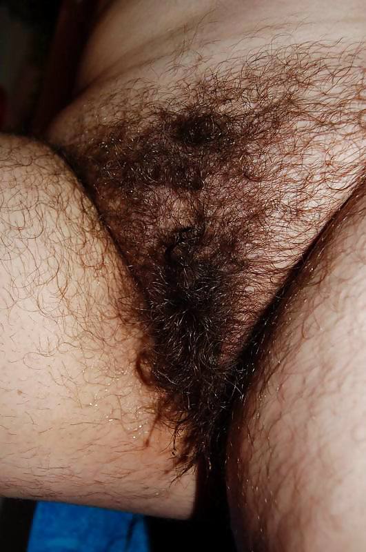 Super hairy Pussy Close ups #6693012