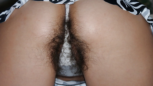 Hairy wife in panties #3316520