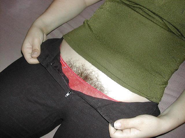 Hairy wife in panties #3316630
