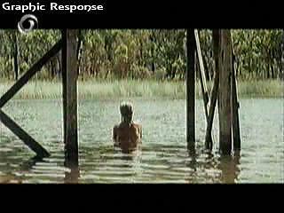 Cherly Ladd #17350988