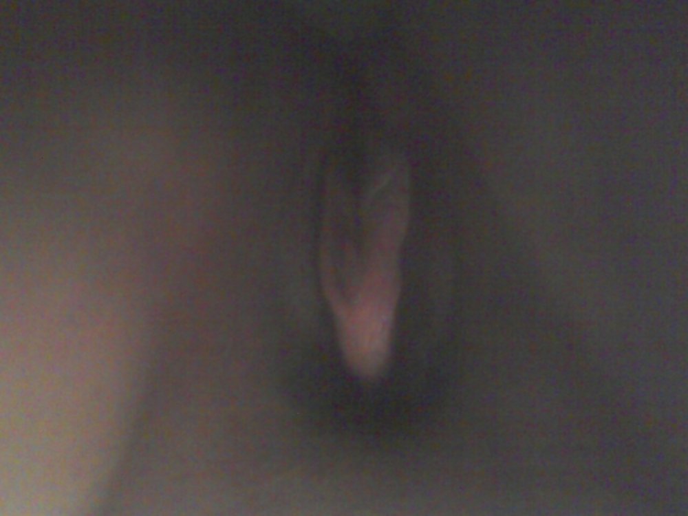 Zorra no 5
 #16487032