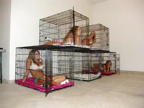 Animaux En Cage #10630529