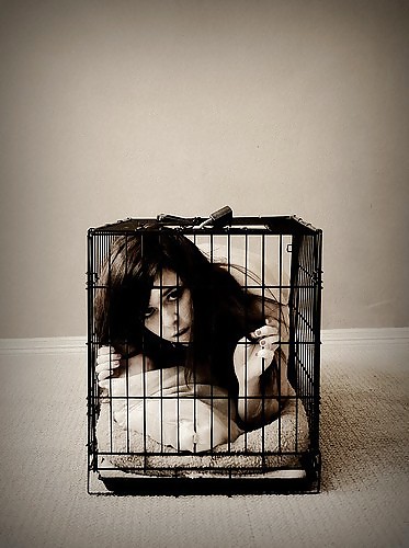 Animaux En Cage #10630556