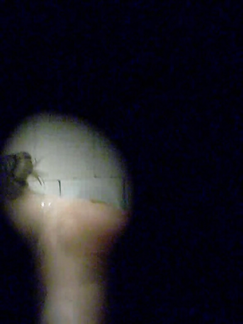 Sylvan Spionage, Wenn Shell Rasieren #12099025