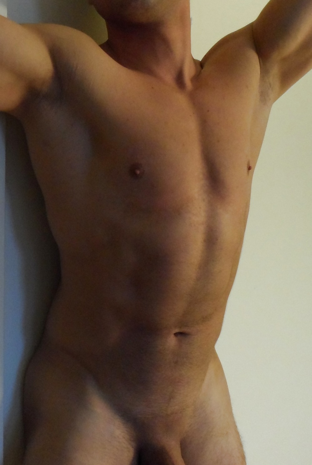 Adonis
 #12168284