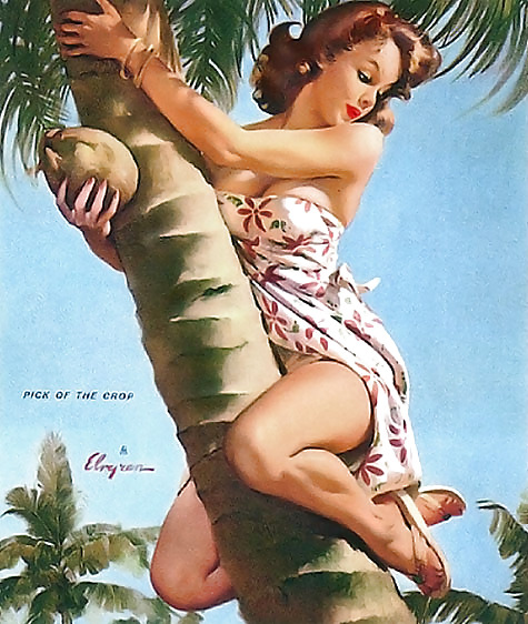 Assorted  pin-up art #957674