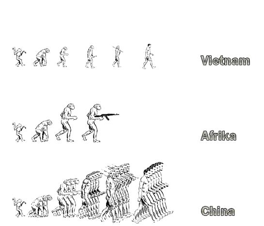 Vignette divertenti pic vol.3 - storia dell'evoluzione
 #395322