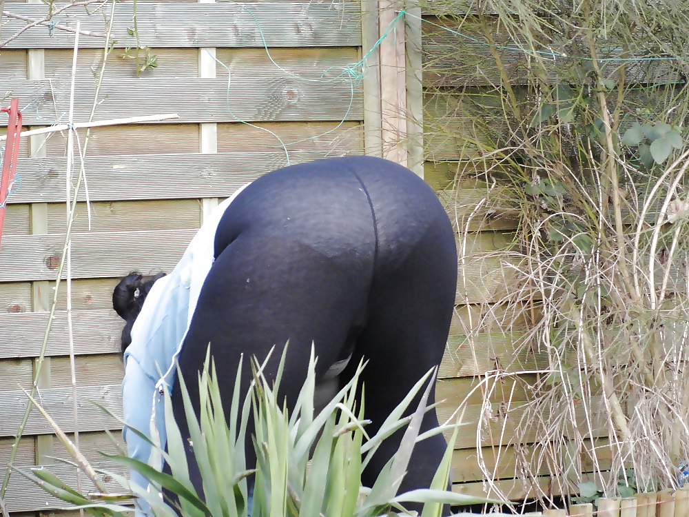 Zwergsein's Nice Wife #4008568