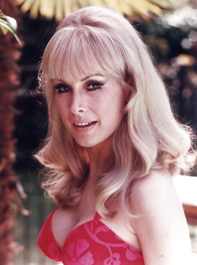 Barbara eden
 #3546848