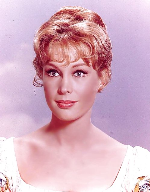 Barbara Eden #3546934