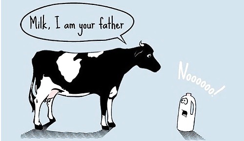 ¡¡Noooooooo !!
 #19666673