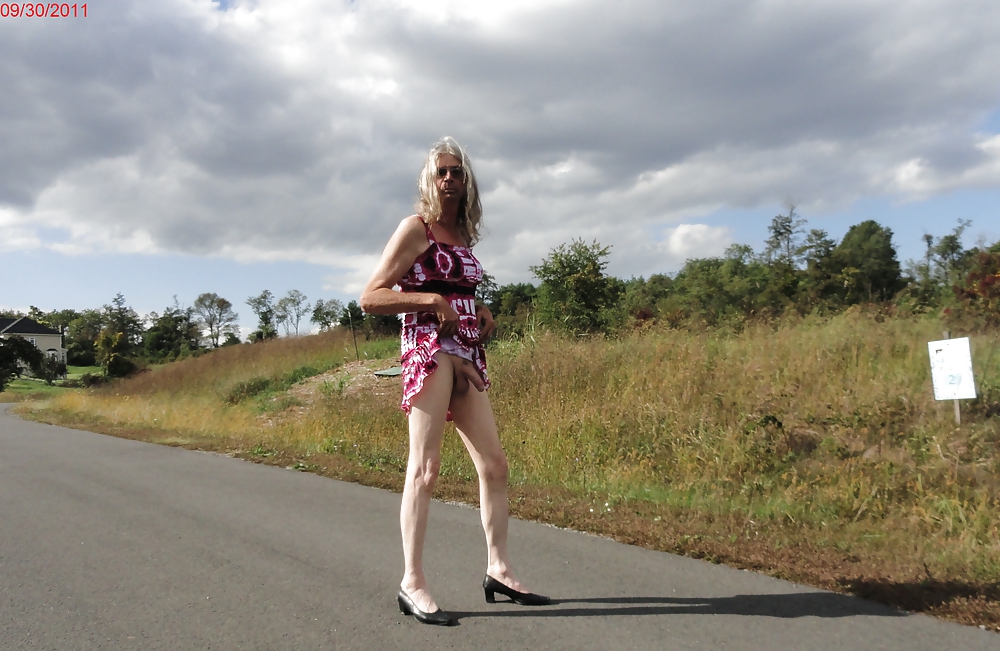 Merry Christmas  #10481515