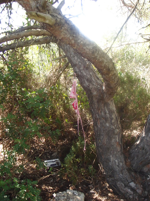 Knicker tree #18283358