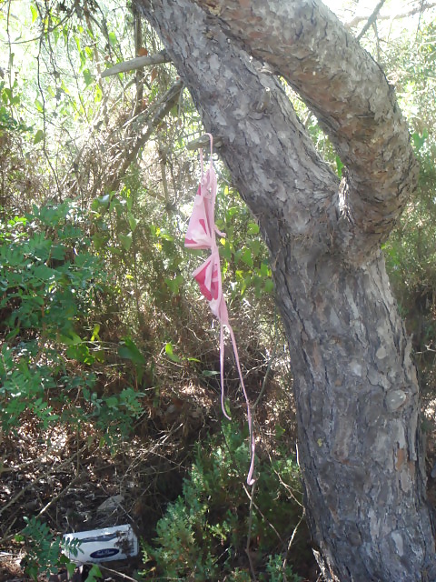 Knicker tree #18283364