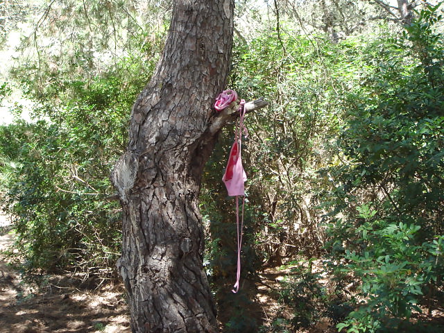 Knicker tree #18283375