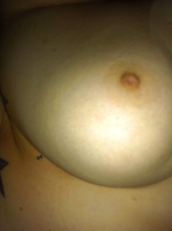 Perra de la comunidad 2 spin.de
 #11983101