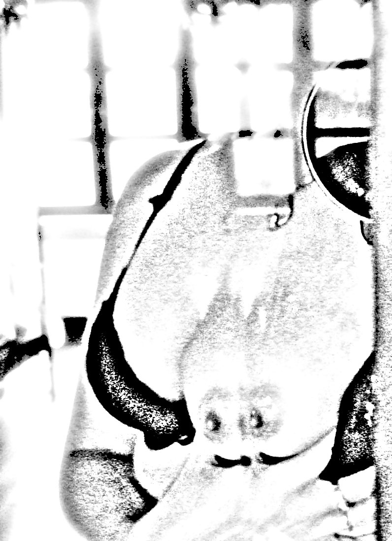 セルフショット
 #13088358