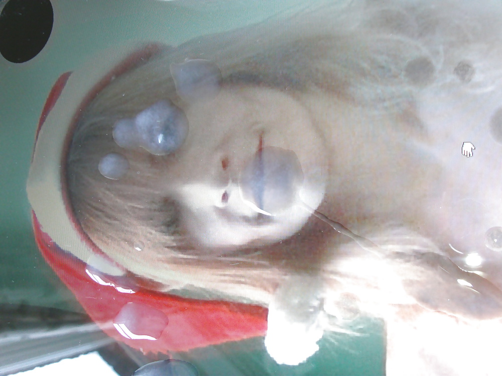 TosserTim makes a mess over Hottub Couple 69's tits #15350530