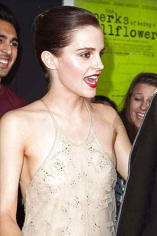 Emma Watson Bustier Slip #11375689