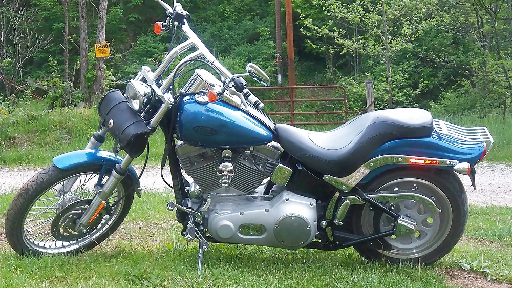 My hog and what been on it #3780187