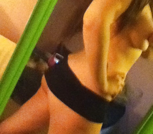 SmutDates Username 'NJPrincess' #9214939