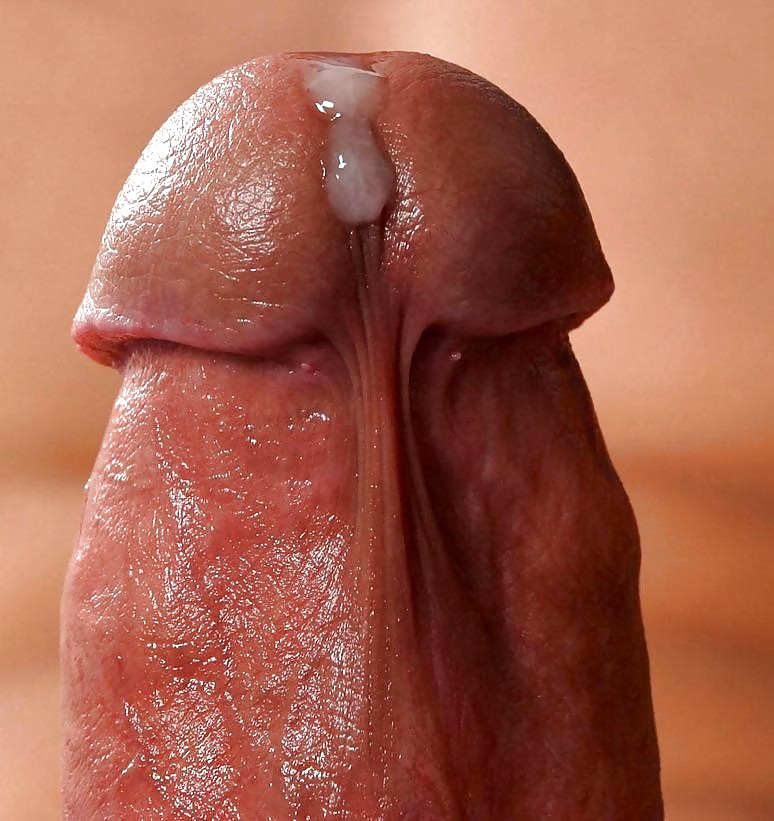 Dripping cocks #18805293