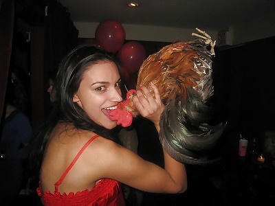 Bite that Cock! #9621165