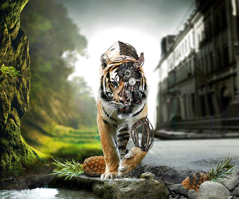 More tigers
 #16746314