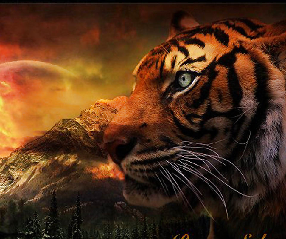 More tigers
 #16746330