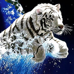 More tigers
 #16746364
