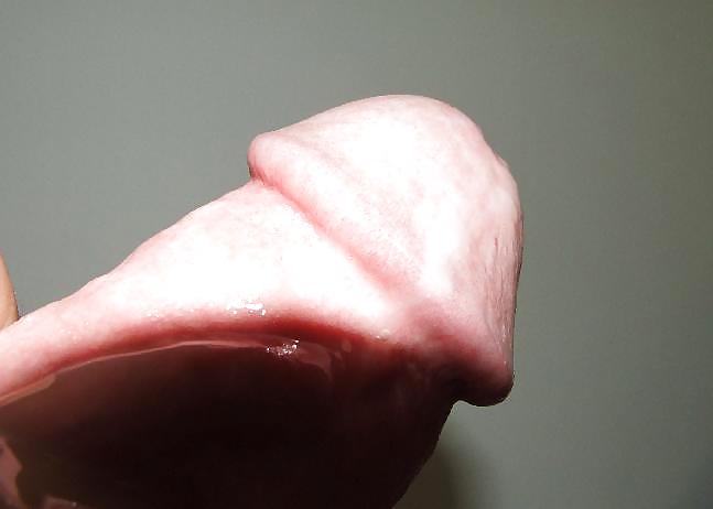 My cock - cum  (jizz, semen etc) #3618828
