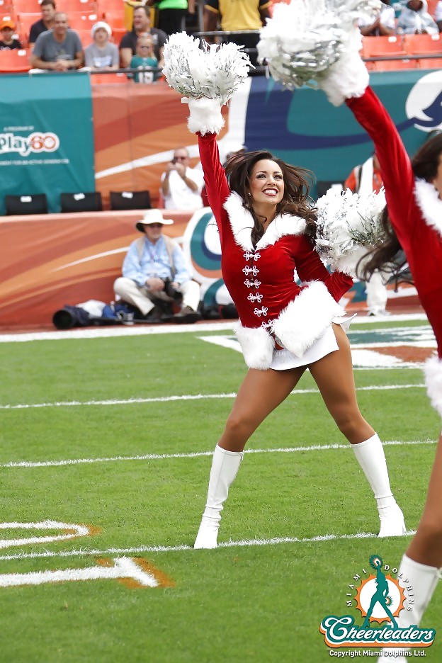 Miami dolphins cheerleaders
 #15129478