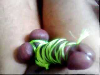 Penis in rope with balls  #14839829