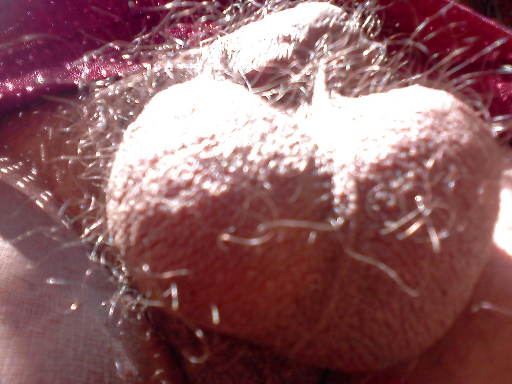 Big hairy balls #12851857