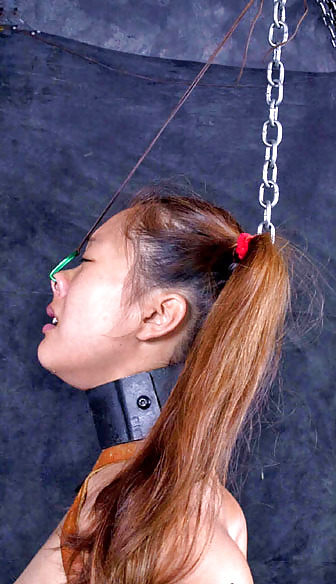 Bound To Please! #4615032