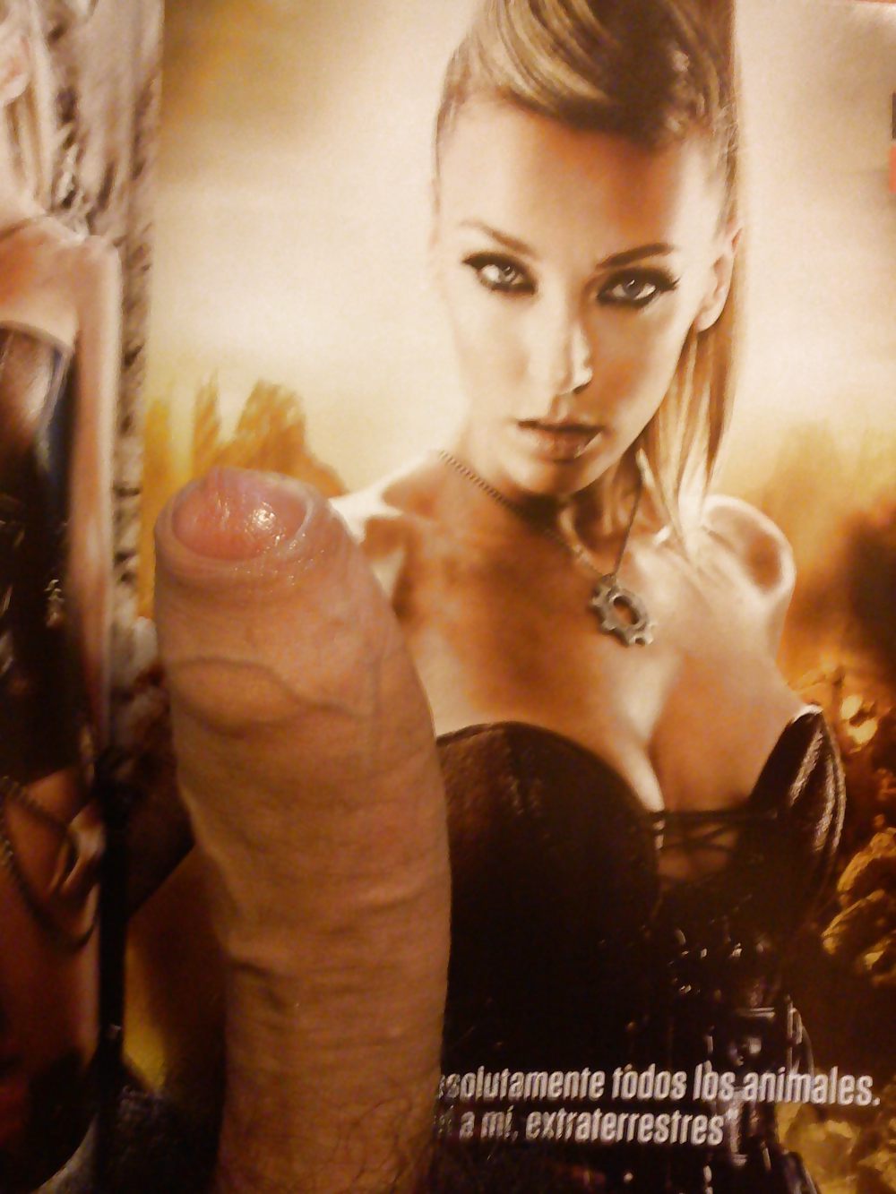 Vecinitas 2011 #7393091