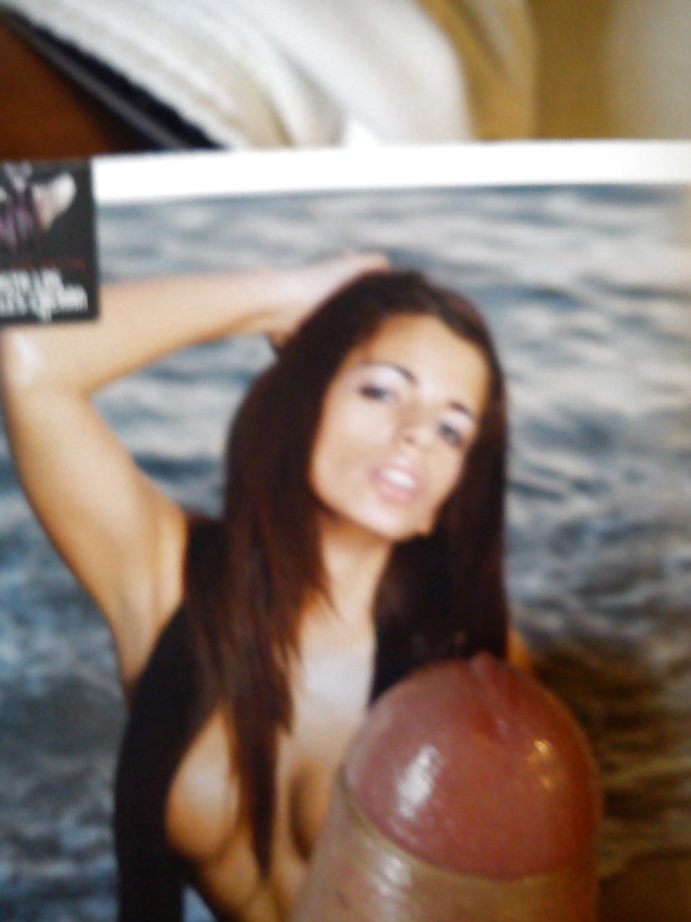 Vecinitas 2011 #7393136