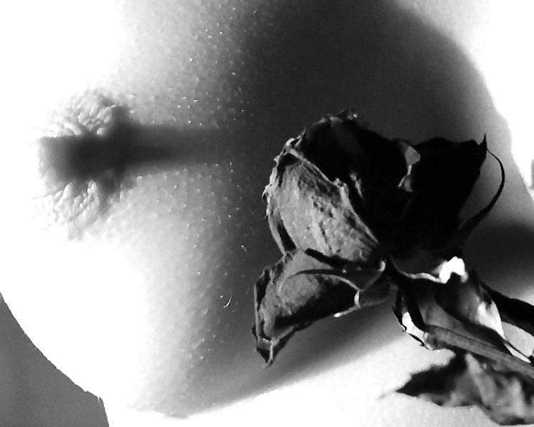 Erotische Kunst Der Rosen - Sitzung 1 #2909535