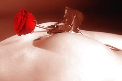 Erotic Art of Roses - Session 1 #2909554