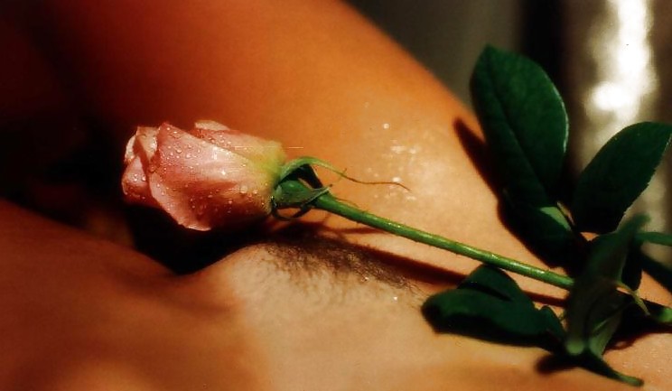 Erotic Art of Roses - Session 1 #2909610